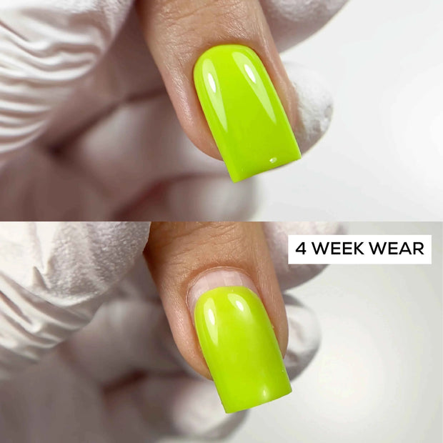 Rubber Base Stay - Lumore